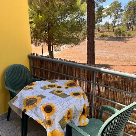 Pinhos Palmela Village - Piscina Temporariamente Fora Servico Quinta do Anjo
