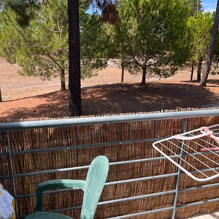 Pinhos Palmela Village - Piscina Temporariamente Fora Servico Apartment *