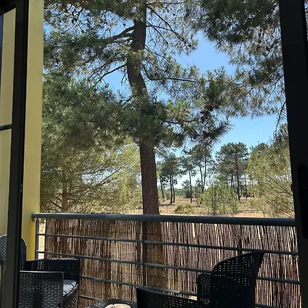 Apartment Pinhos Palmela Village - Piscina Temporariamente Fora Servico